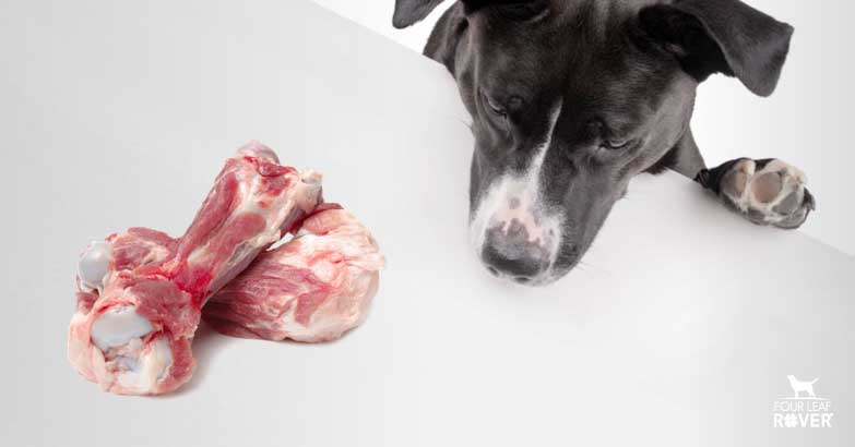 Can Dogs Eat Pork Bones?