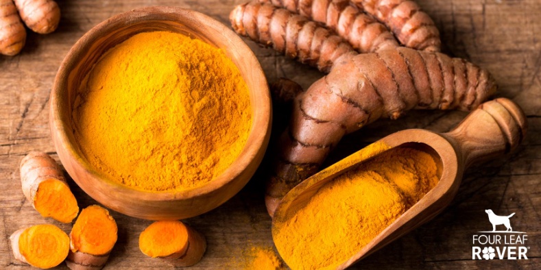 4 Health Benefits Of Turmeric For Dogs