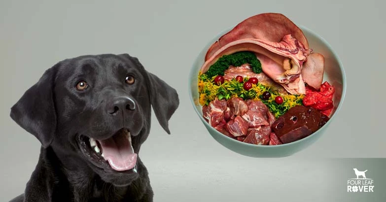 Organ Meat For Dogs: Tips For Success
