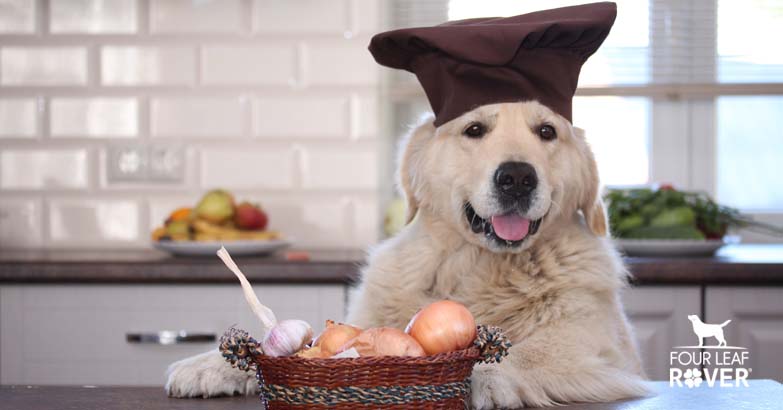 Can Dogs Eat Onions?