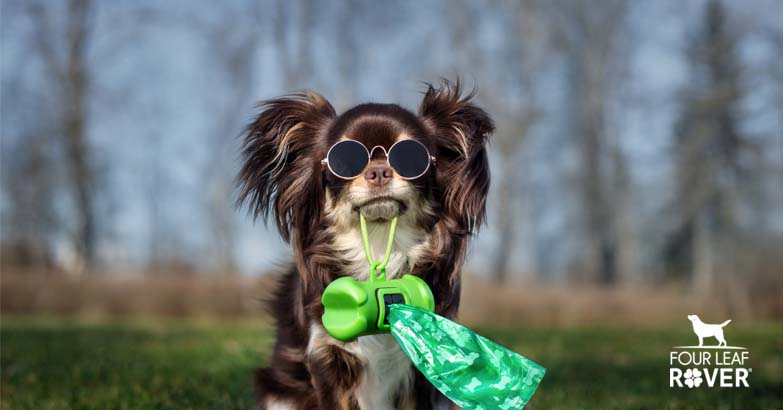 Eco-Friendly Dog Waste Bags