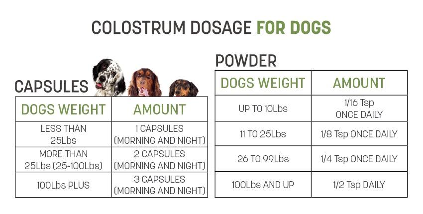 Top 5 Health Benefits Of Colostrum For Dogs