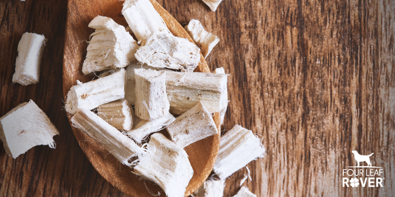 11 Ways Marshmallow Root Can Help Your Dog